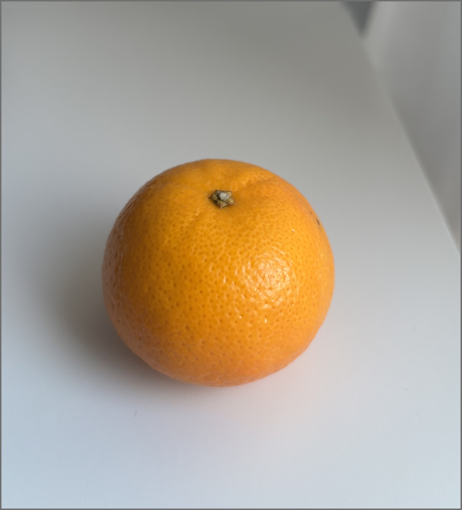 Another image taken of the mandarin