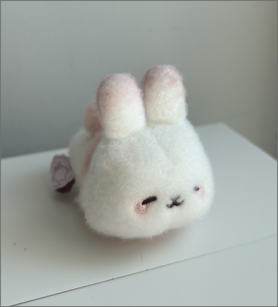 Another image taken of the plushie