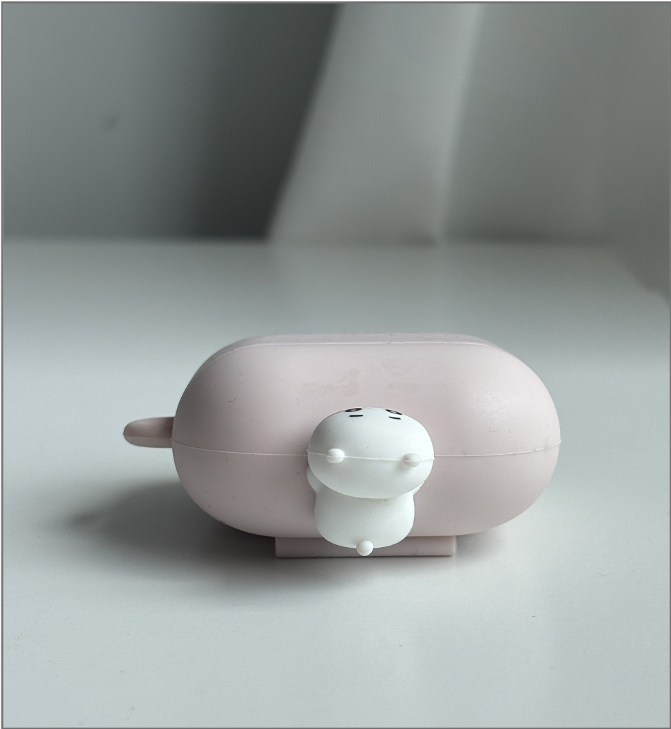 Top angle of the airpod case.