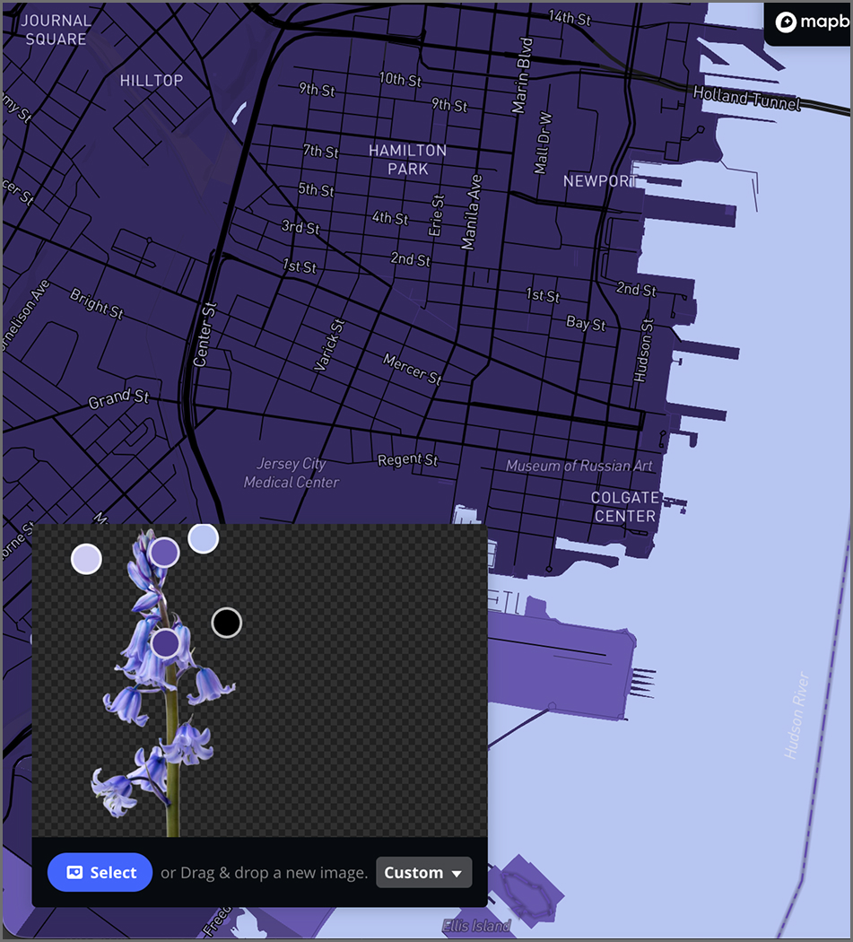 Testing color scheme. Selected custom colors from a bluebell picture.